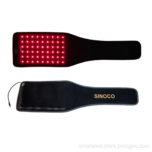 LED Red Light Therapy for Horses: 660nm and 850nm for Legs and Back